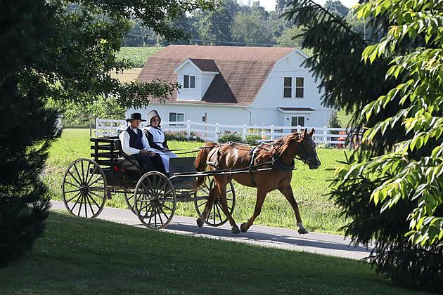 Amish-te e Michiganit