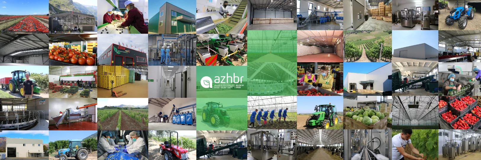 Emrat / 300 përfituesit më të mëdhenj të fondeve publike, mes tyre politikanë, bosë droge dhe prostitucioni, vrasës, hajdutë dhe mashtrues