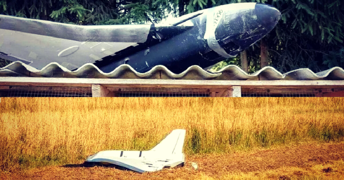 Luftënxitësit evropianë të zemëruar që Trump nuk e besoi “Sulmin me dron në Poloni” – Por sondazhet tregojnë se popullsia polake beson se ishte një “flamur i rremë” ukrainas!